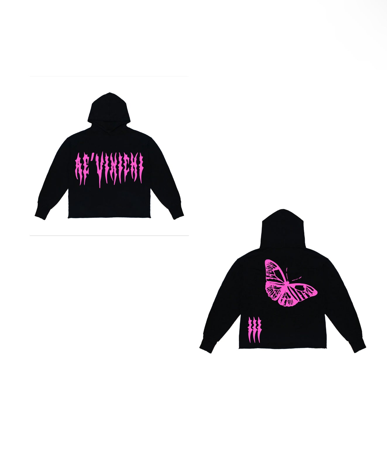 Hoodie Pink Ae'Vinichi